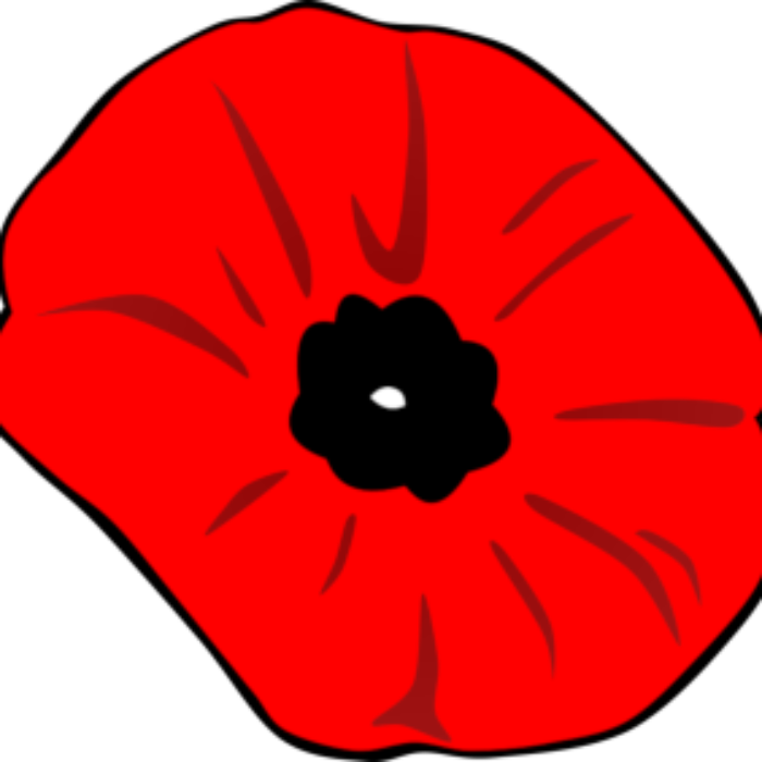 Remembrance Day – 100 years on