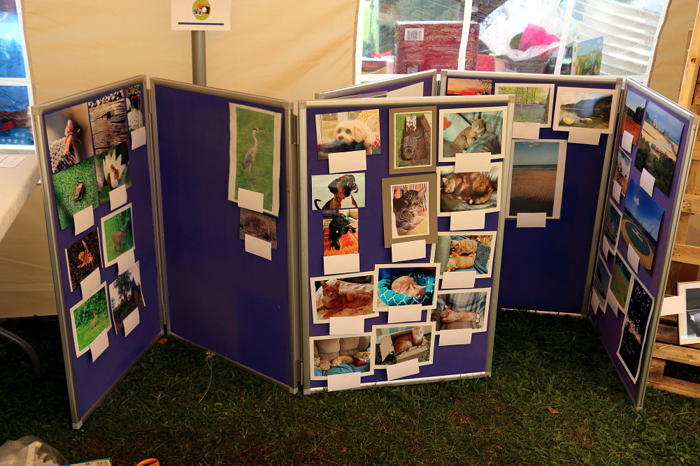 and a lot of photographs in each of the three classes