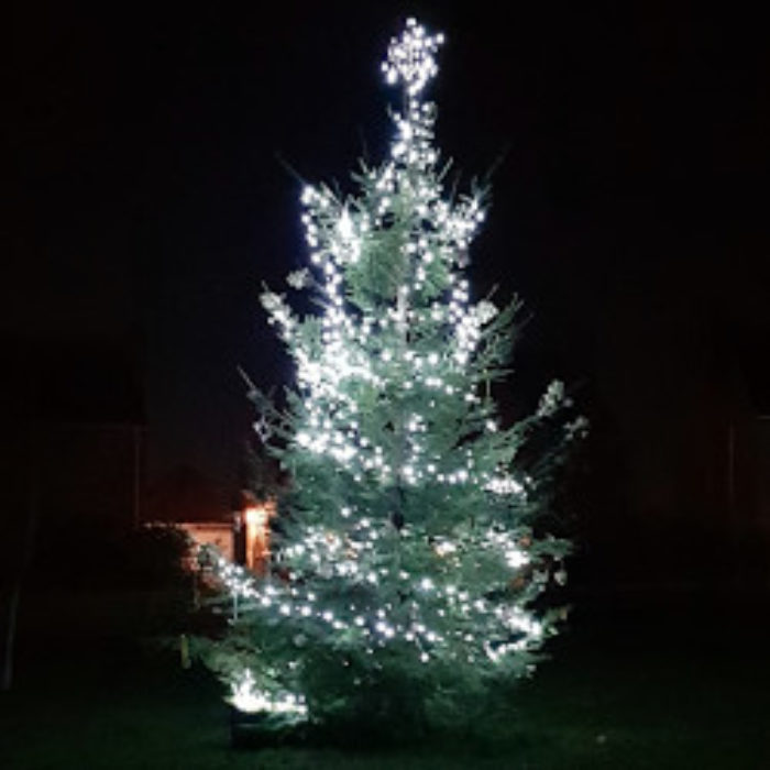 Naturally, a Christmas Tree…