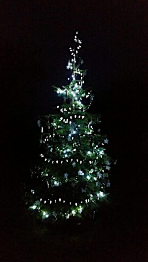 Christmas tree lights