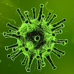 Flu_virus_250wh